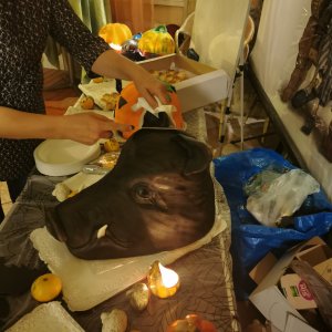Samhain Fesztivál 2021