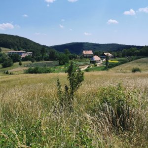 Kirándulások – Bükkszentkereszt – Gyuri Bácsi Gyógynövény Kertje 20220626