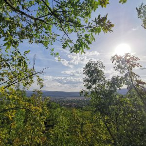 Tábor 2023 – Mabon elvonulás