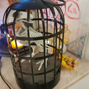 Samhain Fesztivál 2024